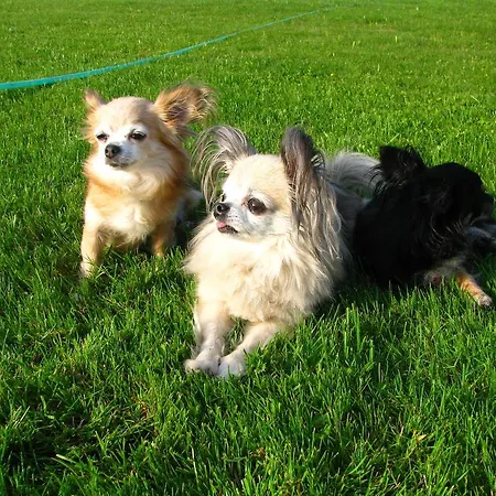 Alexandra Penzion 3*