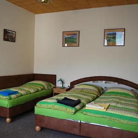 Guest house Alexandra 3*