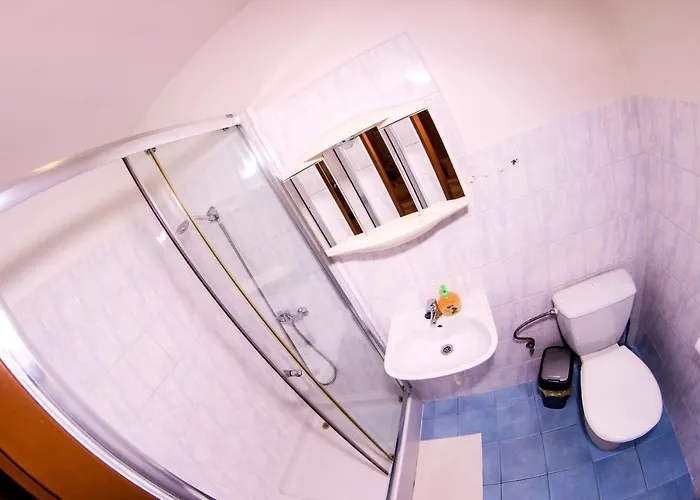 Gasthuis Alexandra 3*